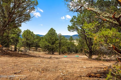 Tiny photo for 41355 US-180, Nutrioso, AZ 85932 (MLS # 256819)