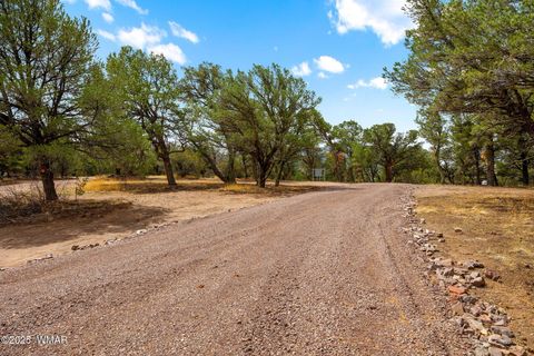 Tiny photo for 41355 US-180, Nutrioso, AZ 85932 (MLS # 256819)