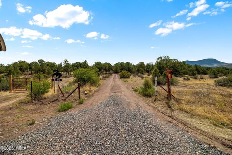Tiny photo for 41355 US-180, Nutrioso, AZ 85932 (MLS # 256819)