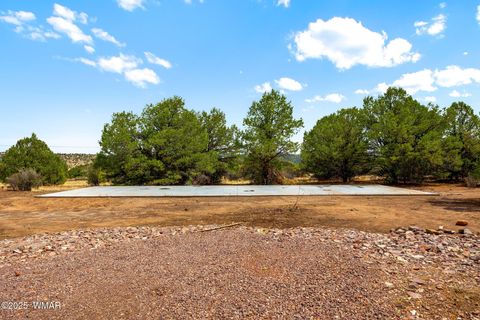 Tiny photo for 41355 US-180, Nutrioso, AZ 85932 (MLS # 256819)