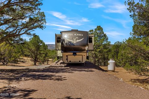 Tiny photo for 41355 US-180, Nutrioso, AZ 85932 (MLS # 256819)