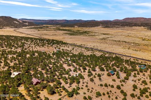 Tiny photo for 41355 US-180, Nutrioso, AZ 85932 (MLS # 256819)