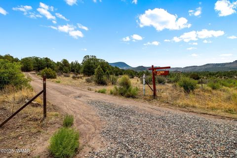 Tiny photo for 41355 US-180, Nutrioso, AZ 85932 (MLS # 256819)