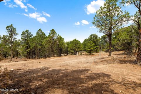 Tiny photo for 41355 US-180, Nutrioso, AZ 85932 (MLS # 256819)