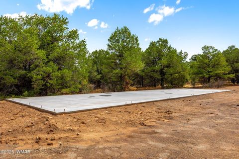 Tiny photo for 41355 US-180, Nutrioso, AZ 85932 (MLS # 256819)