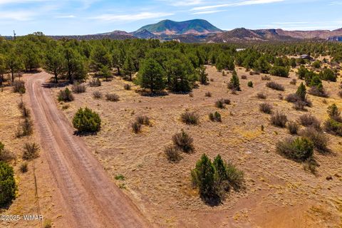 Tiny photo for 41355 US-180, Nutrioso, AZ 85932 (MLS # 256819)