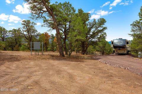 Photo of 41355 US-180, Nutrioso, AZ 85932 (MLS # 256819)