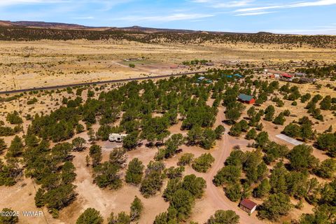 Tiny photo for 41355 US-180, Nutrioso, AZ 85932 (MLS # 256819)
