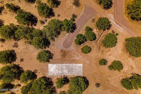 Tiny photo for 41355 US-180, Nutrioso, AZ 85932 (MLS # 256819)
