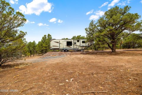 Tiny photo for 41355 US-180, Nutrioso, AZ 85932 (MLS # 256819)