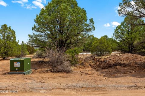 Tiny photo for 41355 US-180, Nutrioso, AZ 85932 (MLS # 256819)