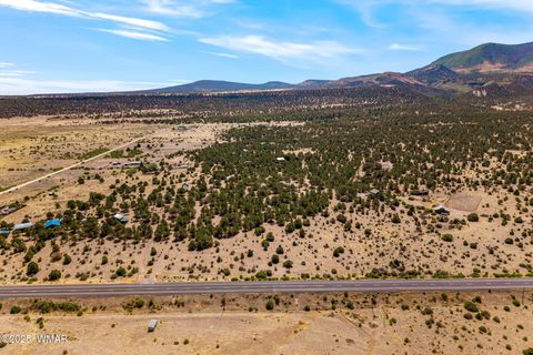 Tiny photo for 41355 US-180, Nutrioso, AZ 85932 (MLS # 256819)