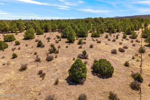 Tiny photo for 41355 US-180, Nutrioso, AZ 85932 (MLS # 256819)