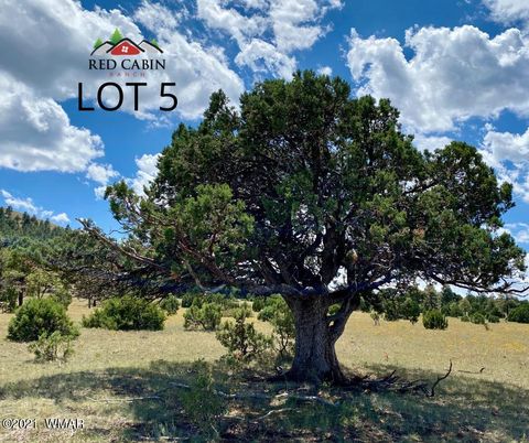 Tiny photo for Lot 5 Red Cabin Ranch, Vernon, AZ 85940 (MLS # 253376)