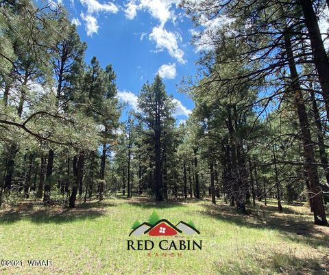 Tiny photo for Lot 5 Red Cabin Ranch, Vernon, AZ 85940 (MLS # 253376)