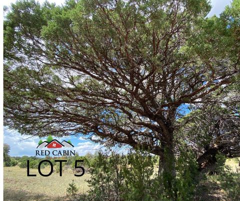 Tiny photo for Lot 5 Red Cabin Ranch, Vernon, AZ 85940 (MLS # 253376)