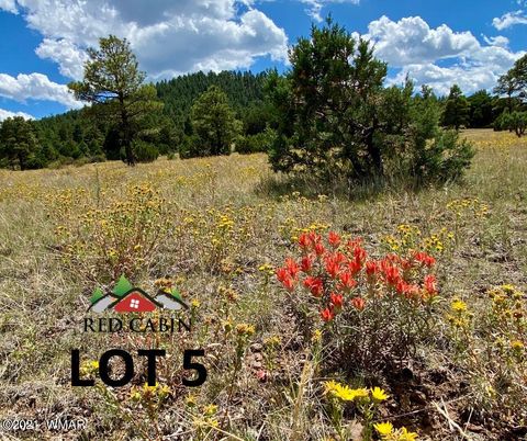 Tiny photo for Lot 5 Red Cabin Ranch, Vernon, AZ 85940 (MLS # 253376)