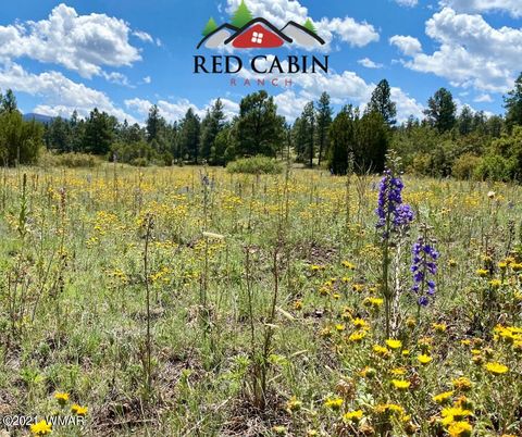 Tiny photo for Lot 5 Red Cabin Ranch, Vernon, AZ 85940 (MLS # 253376)