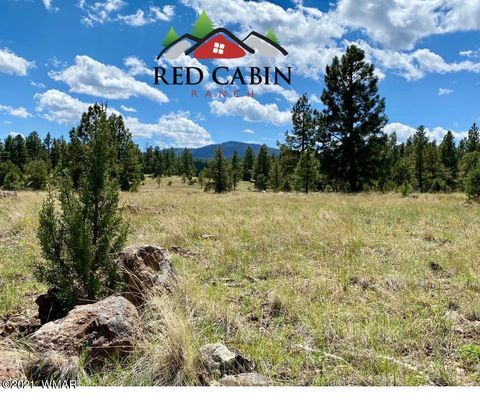 Tiny photo for Lot 5 Red Cabin Ranch, Vernon, AZ 85940 (MLS # 253376)