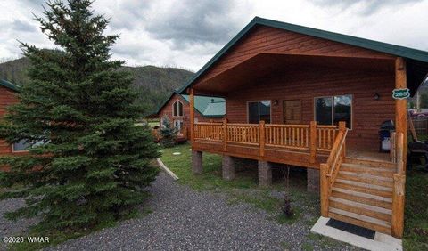 Tiny photo for Cabin 285 Main Street, Greer, AZ 85927 (MLS # 260915)