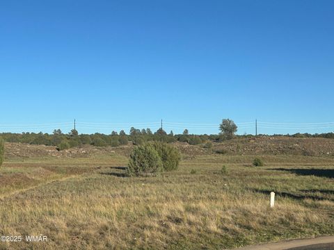 Tiny photo for 2261 E Rimstone Drive, Show Low, AZ 85901 (MLS # 258626)