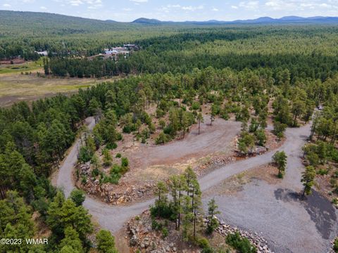 Tiny photo for TBD JACKS LANE (PARCEL #2), Pinetop, AZ 85935 (MLS # 256018)