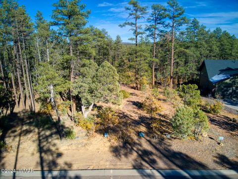 Tiny photo for 1825 S Pleasant View Drive, Show Low, AZ 85901 (MLS # 253676)