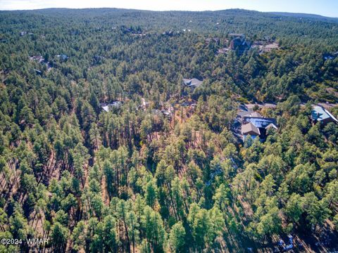 Tiny photo for 1825 S Pleasant View Drive, Show Low, AZ 85901 (MLS # 253676)