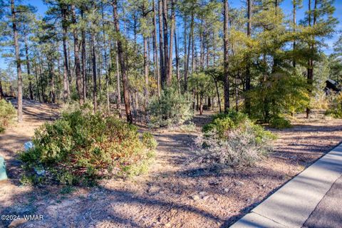 Photo of 1825 S Pleasant View Drive, Show Low, AZ 85901 (MLS # 253676)