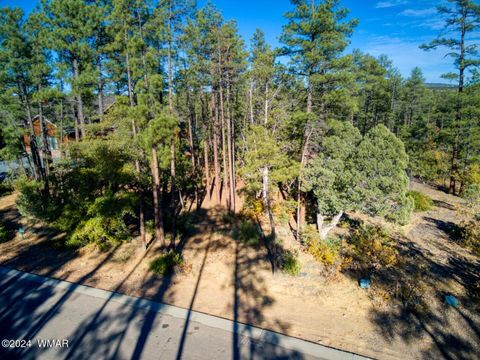 Tiny photo for 1825 S Pleasant View Drive, Show Low, AZ 85901 (MLS # 253676)