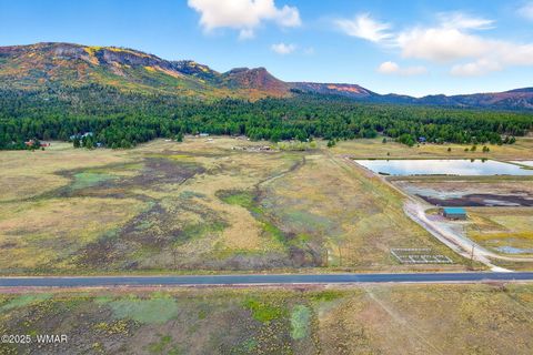 Tiny photo for TBD ALPINE UNSUBDIVIDE, Alpine, AZ 85920 (MLS # 255156)