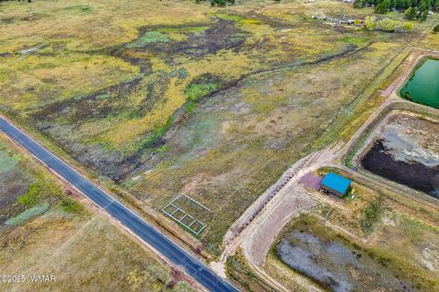 Tiny photo for TBD ALPINE UNSUBDIVIDE, Alpine, AZ 85920 (MLS # 255156)
