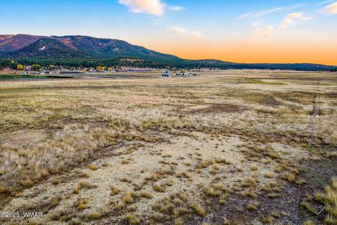 Tiny photo for TBD ALPINE UNSUBDIVIDE, Alpine, AZ 85920 (MLS # 255156)