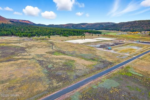 Tiny photo for TBD ALPINE UNSUBDIVIDE, Alpine, AZ 85920 (MLS # 255156)