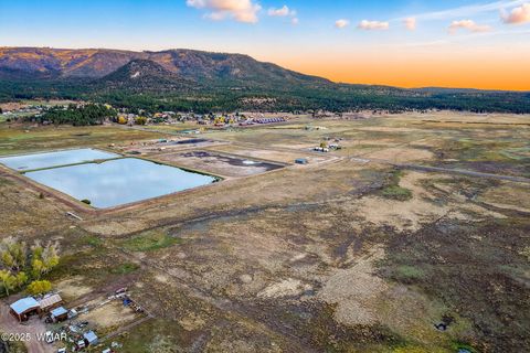 Tiny photo for TBD ALPINE UNSUBDIVIDE, Alpine, AZ 85920 (MLS # 255156)