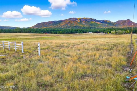 Tiny photo for TBD ALPINE UNSUBDIVIDE, Alpine, AZ 85920 (MLS # 255156)