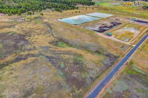 Tiny photo for TBD ALPINE UNSUBDIVIDE, Alpine, AZ 85920 (MLS # 255156)