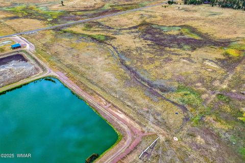 Tiny photo for TBD ALPINE UNSUBDIVIDE, Alpine, AZ 85920 (MLS # 255156)