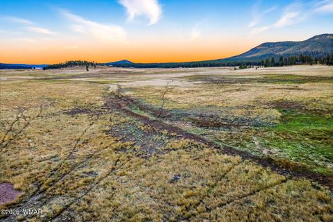 Tiny photo for TBD ALPINE UNSUBDIVIDE, Alpine, AZ 85920 (MLS # 255156)