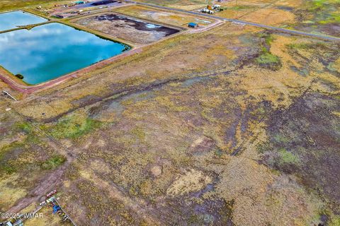 Tiny photo for TBD ALPINE UNSUBDIVIDE, Alpine, AZ 85920 (MLS # 255156)