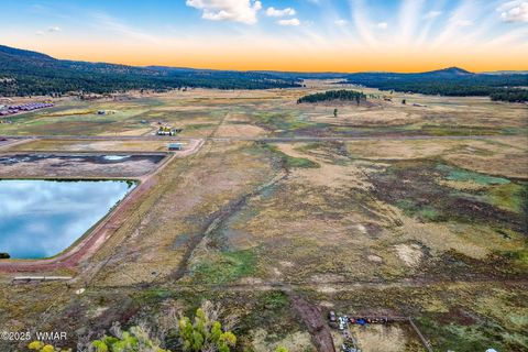 Tiny photo for TBD ALPINE UNSUBDIVIDE, Alpine, AZ 85920 (MLS # 255156)