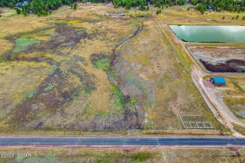 Tiny photo for TBD ALPINE UNSUBDIVIDE, Alpine, AZ 85920 (MLS # 255156)