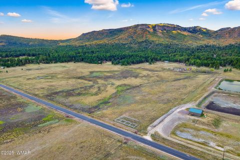Tiny photo for TBD ALPINE UNSUBDIVIDE, Alpine, AZ 85920 (MLS # 255156)