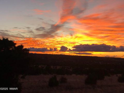 Tiny photo for 80 N3313, Vernon, AZ 85940 (MLS # 258416)