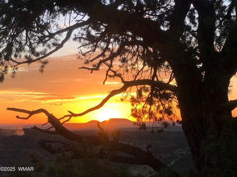 Tiny photo for 80 N3313, Vernon, AZ 85940 (MLS # 258416)