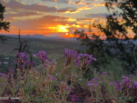 Tiny photo for 80 N3313, Vernon, AZ 85940 (MLS # 258416)