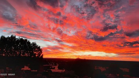 Tiny photo for 80 N3313, Vernon, AZ 85940 (MLS # 258416)