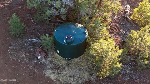 Tiny photo for 80 N3313, Vernon, AZ 85940 (MLS # 258416)