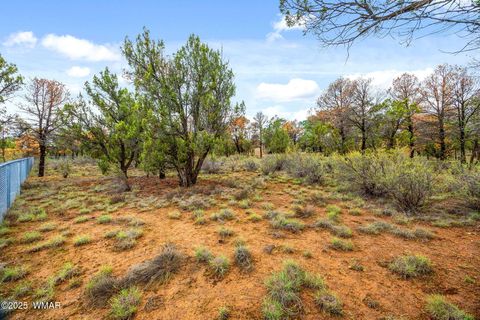 Tiny photo for 3154 Aspen Road, Overgaard, AZ 85933 (MLS # 258307)