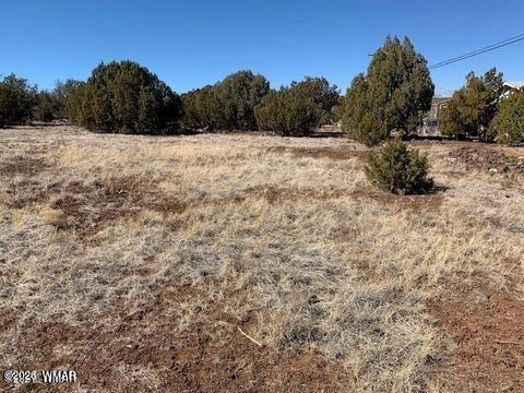 Tiny photo for 8580 Silver Creek Drive, Show Low, AZ 85901 (MLS # 260240)